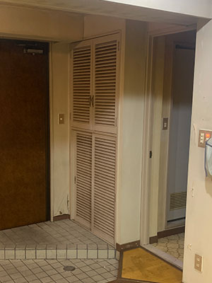 Before image