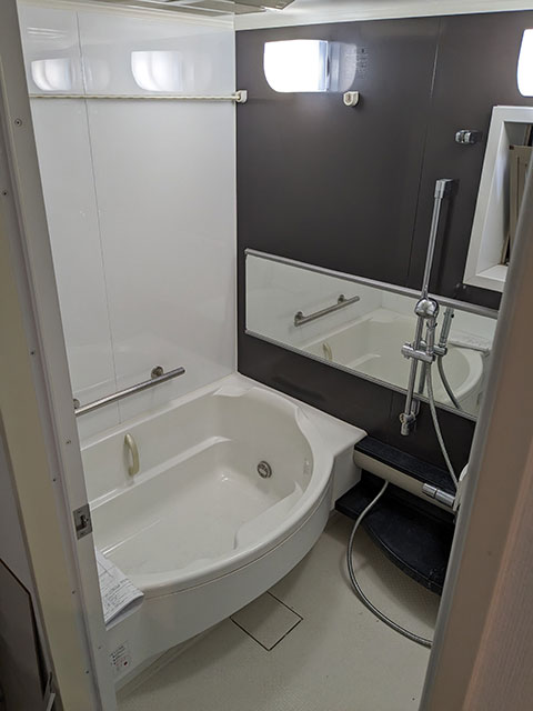 Before image